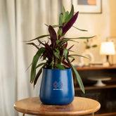 Blue pot with a plant