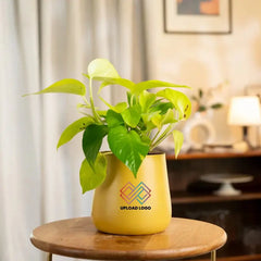 Yellow vase with plant on a wooden stool in a room setting