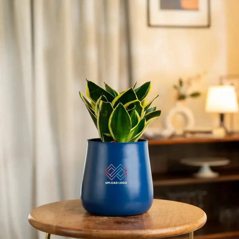 Blue pot with a plant on a wooden table in a home setting