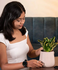 Woman holding a potted plant in a casual setting