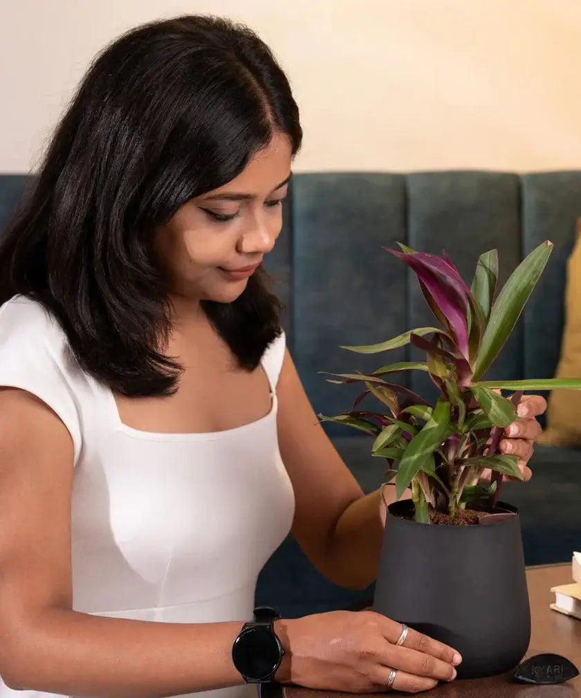 Woman holding a potted plant in an indoor setting