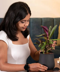 Woman holding a potted plant in an indoor setting