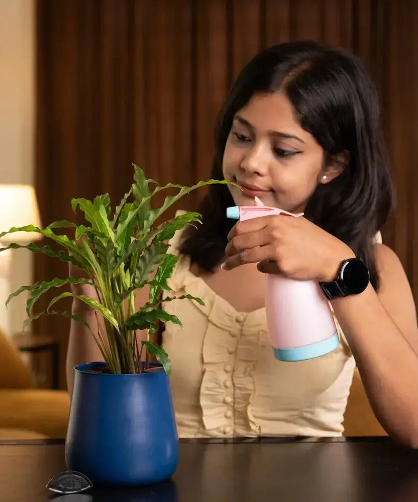 Woman watering a plant with a pink spray bottle in a warm indoor setting