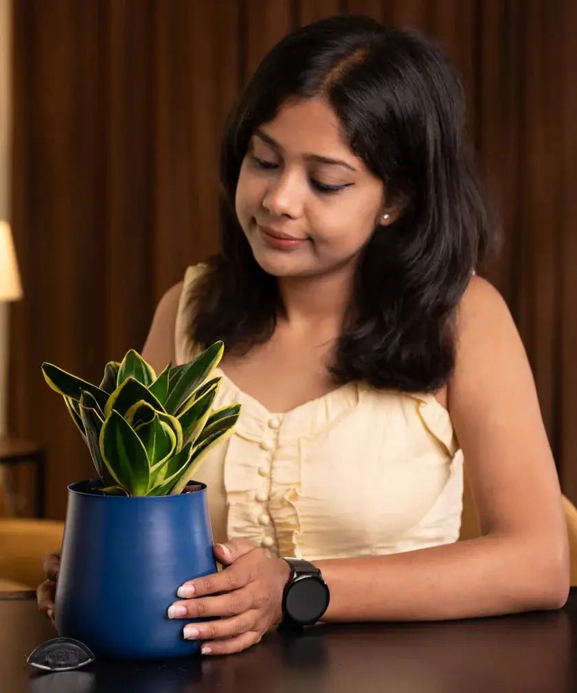 Woman holding a blue pot with a green plant indoors