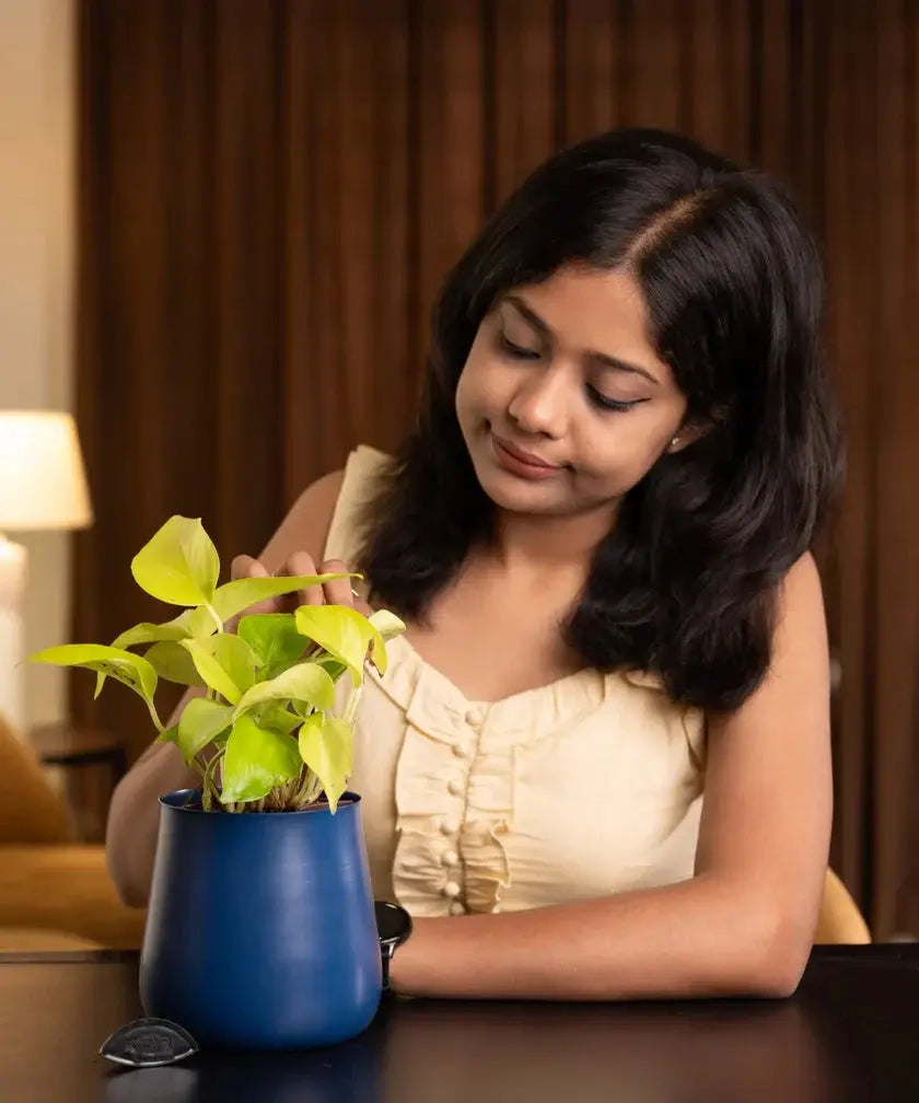 Woman holding a small potted plant indoors