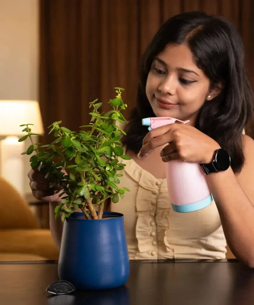Woman watering a potted plant with a pink spray bottle indoors.