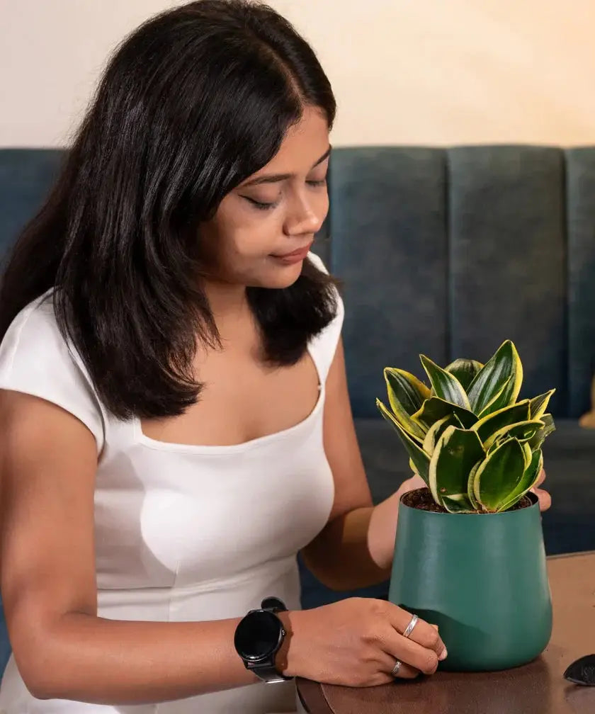 Woman holding a potted plant in an indoor setting