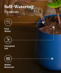 Self-watering system being demonstrated with a blue pot and plant, highlighting key components.