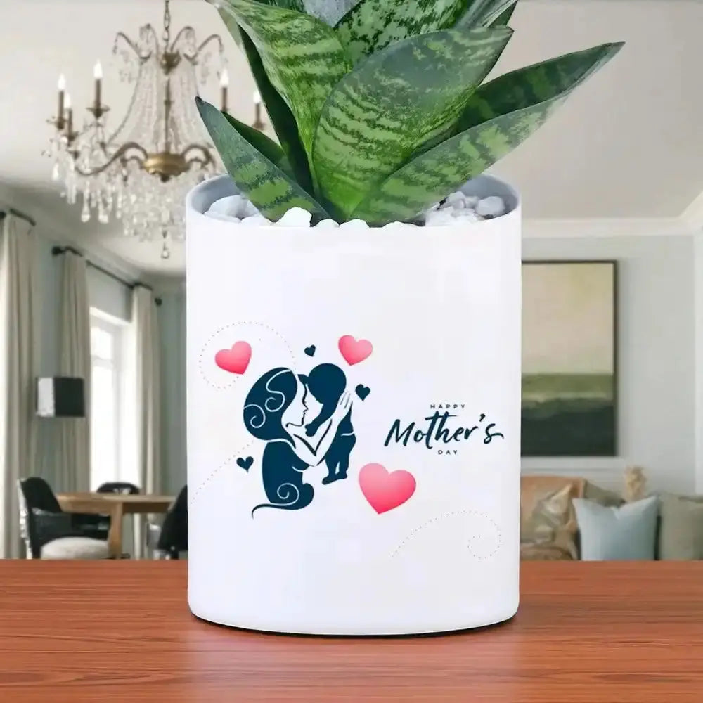 Close-up of Mother's Day Golden Money Plant in a custom white pot with mother and child graphic, great for home or office plant gifting.