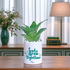 Air-purifying Sansevieria Snake Plant in custom ceramic pot labeled 'Let's Grow Together', great for indoor spaces and thoughtful green gifting.