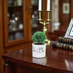 White Potted Table Kamini - Table Kamini Plant placed on a polished wooden desk, perfect for elegant indoor spaces and air-purifying home decor.
