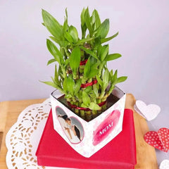 Personalized Love U Mom Bamboo Plant in a decorative pot with photo and message, perfect for indoor spaces like desks or tabletops.