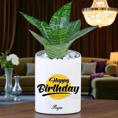 Air-purifying Personalized Birthday Snake Plant in custom pot with name and greeting, perfect indoor plant gift for birthdays.