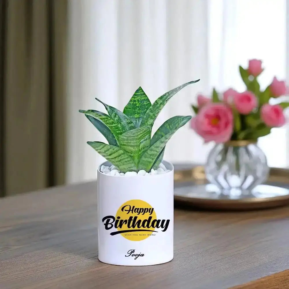 Personalized Birthday Snake Plant in white ceramic pot with 'Happy Birthday' message, ideal air-purifying gift for home or office decor.