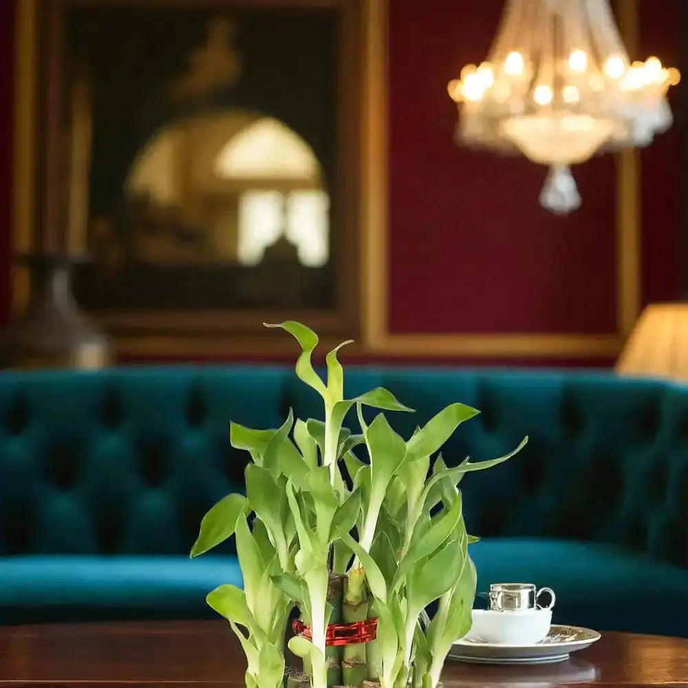 Green plant