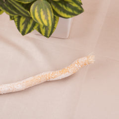 Miswak - Pack of 5