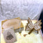 Offwhite Butterfly Sawab-e-Jariya
