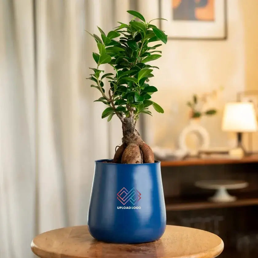 Blue pot with a green plant on a wooden table in a room setting