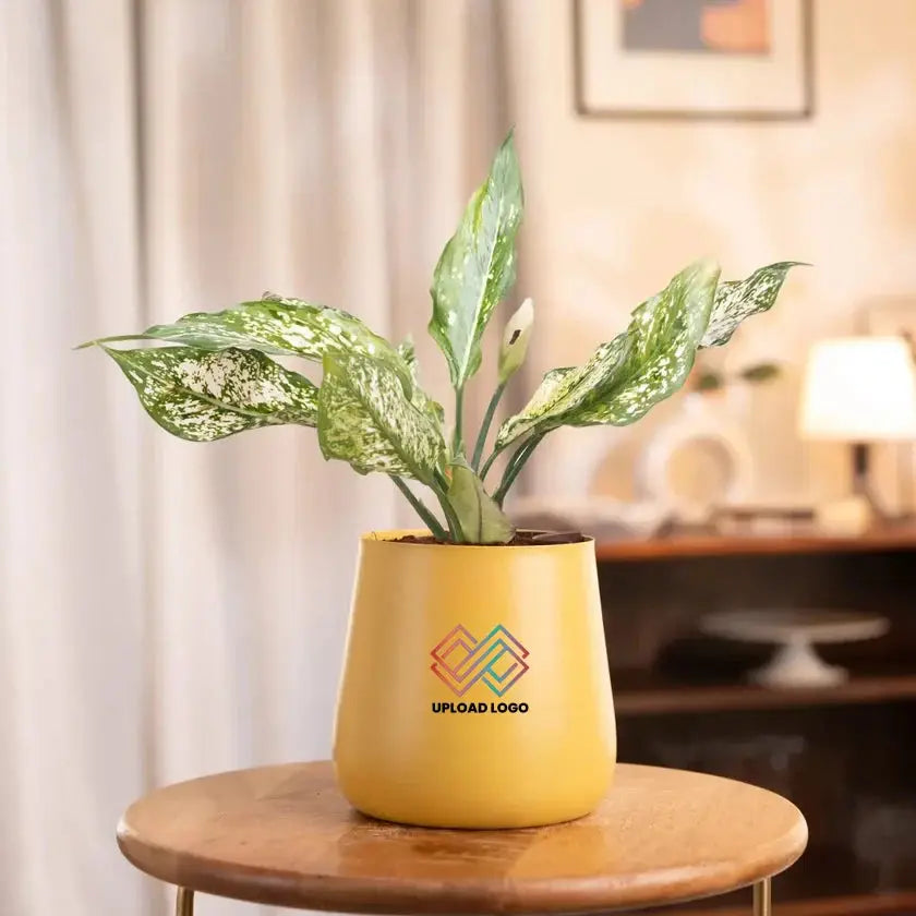 Yellow pot with a plant on a wooden stool in a blurred indoor setting