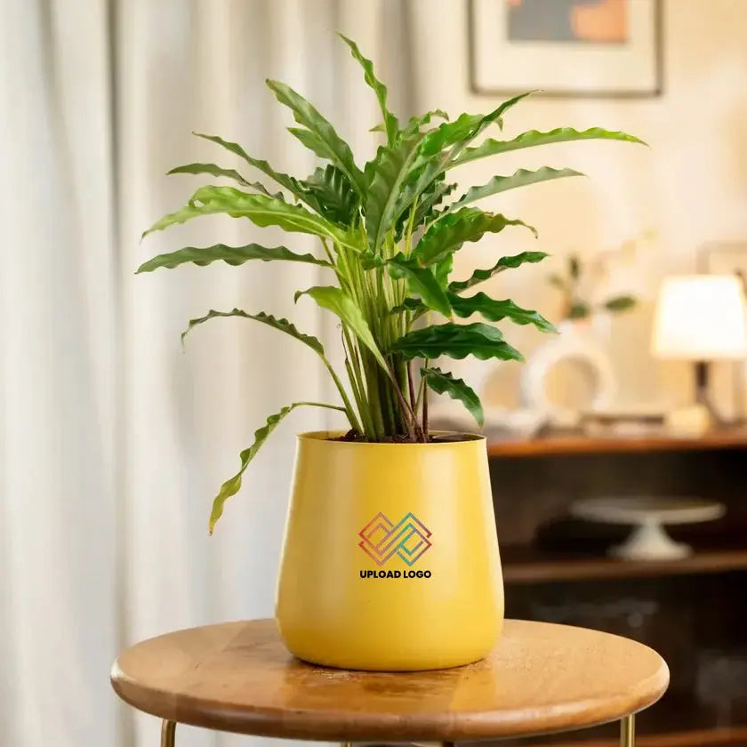 Yellow pot