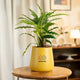 Yellow pot