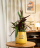 Yellow pot 