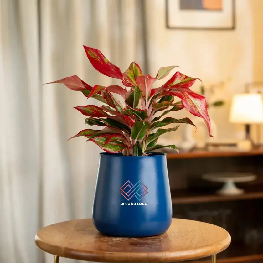Potted plant in a blue pot with a logo