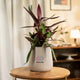 Potted plant 