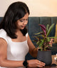 Woman holding a potted plant in an indoor setting