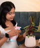 Woman using a spray bottle on a plant indoors