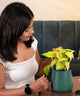 Woman holding a potted plant in an indoor setting