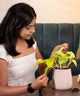 Woman interacting with a potted plant on a table