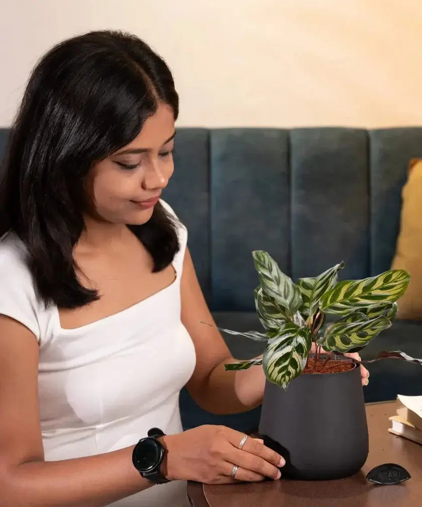 Woman holding a potted plant in a casual setting