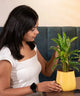 Woman interacting with a potted plant on a table
