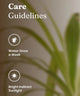 Care guidelines for a plant with text 'Water Once a Week' and 'Bright Indirect Sunlight' on a blurred plant background.