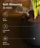 Self-watering system with a bottle pouring water into a pot of plants, labeled 'Pour Water', 'Cocopeat Soil', and 'Water Reservoir'.