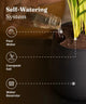Self-watering system being used to water a plant with text and icons explaining the process.