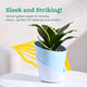 Two-tone plant pot with a plant 