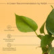 Money Plant Variegated