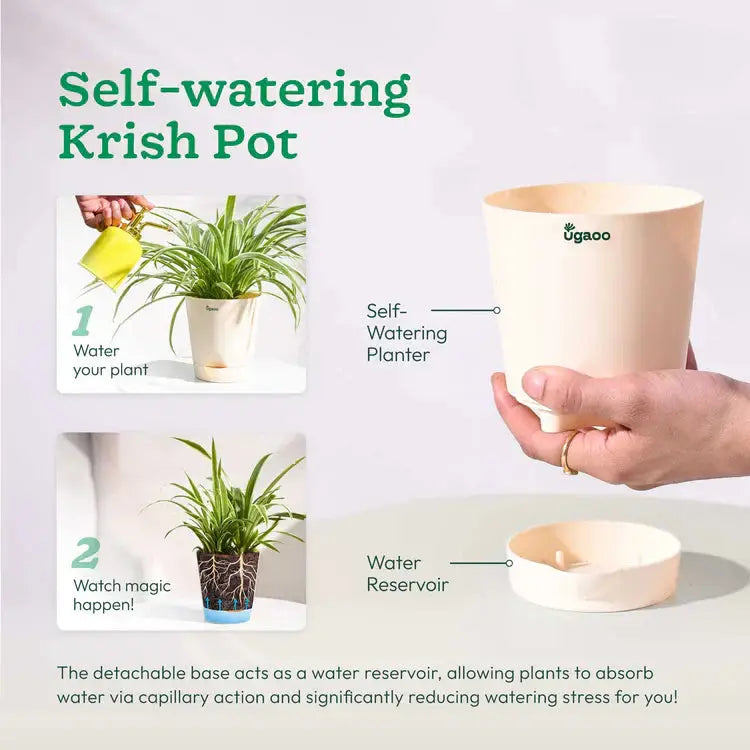self-watering planter with text 