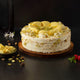 Delicious Rasmalai Cake close-up detail shot