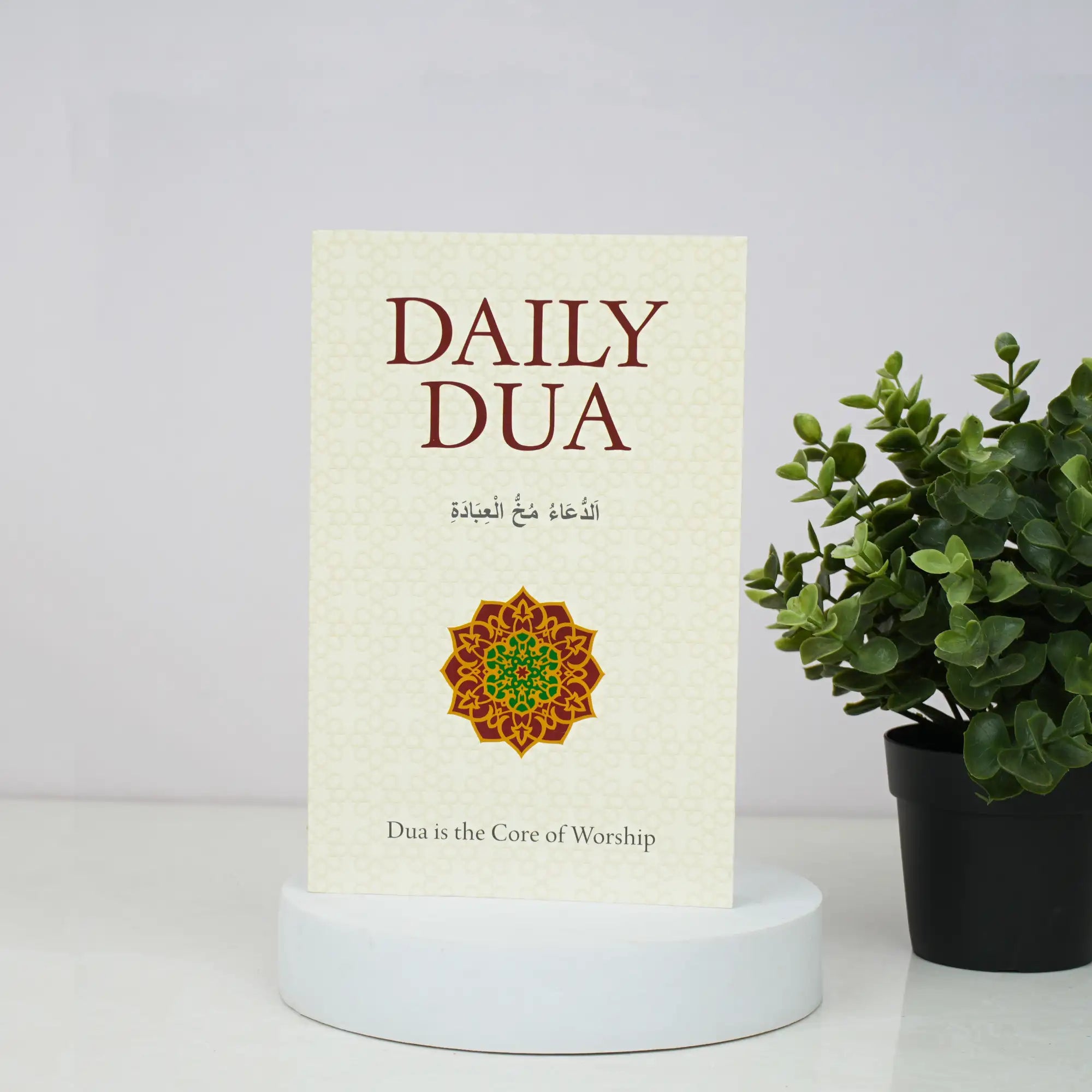Book titled 'Daily Dua' with a decorative cover on a white surface next to a potted plant.