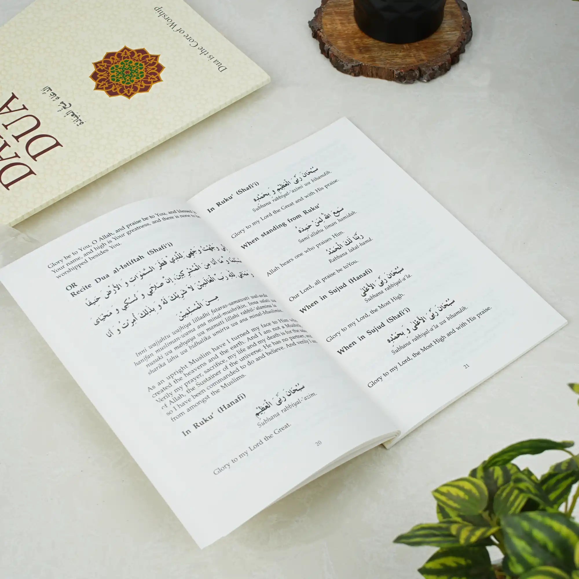 Open book with text on a light surface next to a plant