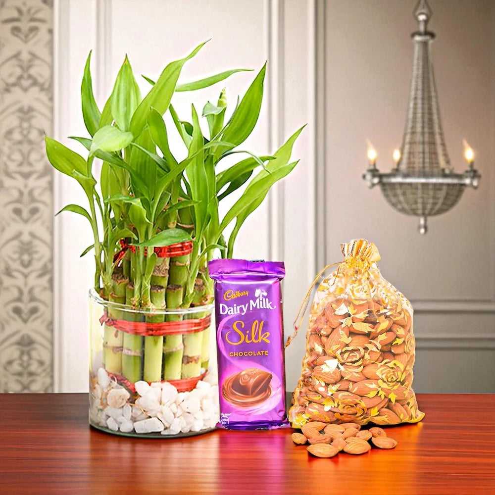 Festive Combo with Lucky Bamboo plant in a glass pot, Cadbury Dairy Milk Silk chocolate, and a golden pouch of almonds. Ideal for gifting and home decor. Main image