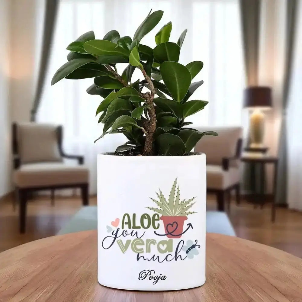 Potted plant in a white pot with decorative text