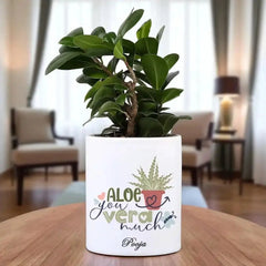 Potted plant in a white pot with decorative text