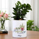 Ficus Compacta bonsai in a custom ceramic planter with name 'Pooja', perfect personalized gift for birthdays or indoor green decor.