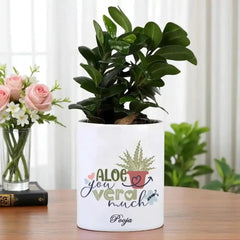 Potted plant in a white pot with decorative text