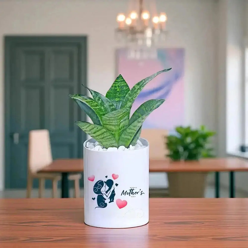 Mothers Day Golden Money Plant in a white ceramic pot with mother-child design, perfect indoor decor gift for moms, placed on a wooden table. Main image