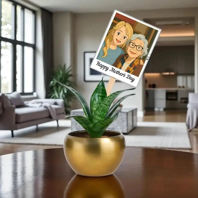 Mothers Day Magnet Plant Gift featuring a Sansevieria plant in a gold metal pot with a personalized cartoon magnet reading 'Happy Mother's Day'. Main image